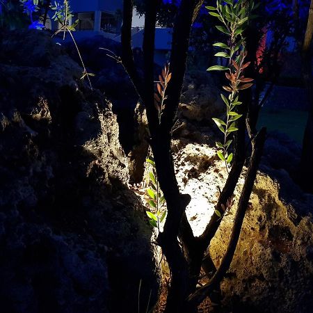 Asteraki Aparthotel Γουβιά Εξωτερικό φωτογραφία